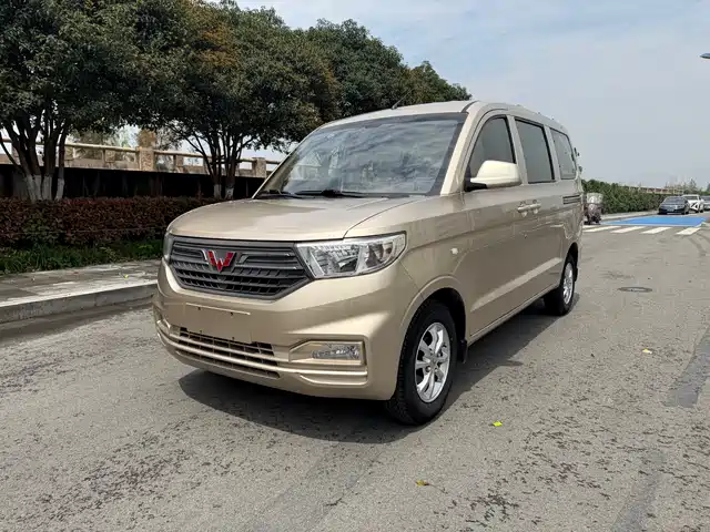 WULING WULING HONGGUANG V