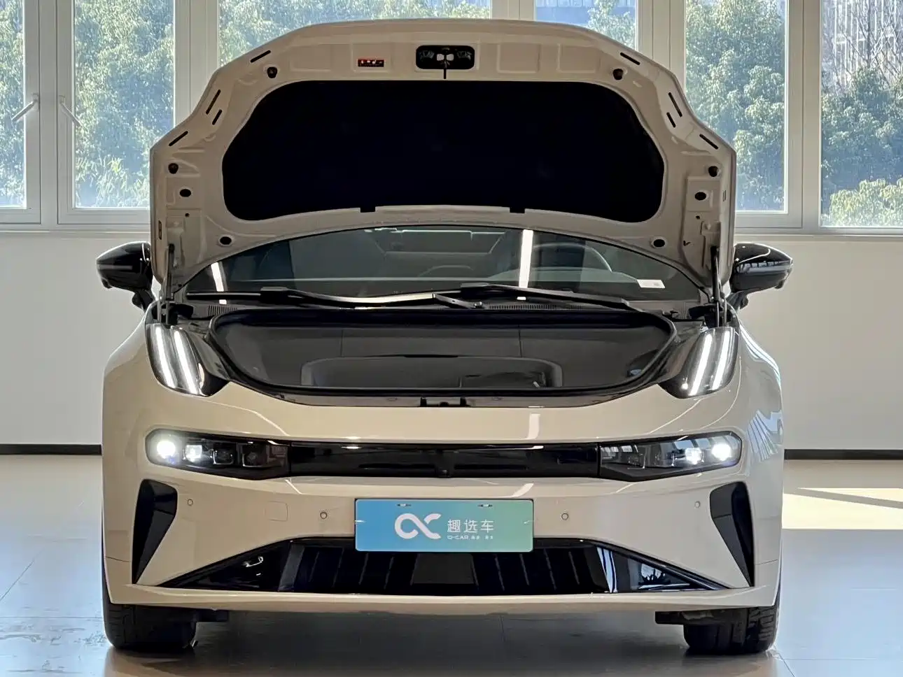 ZEEKR EXTREME KRYPTON 001