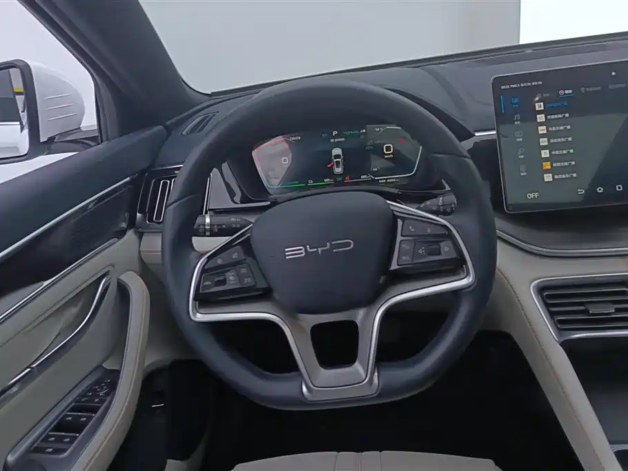 BYD SONGJIANG NEW ENERGY