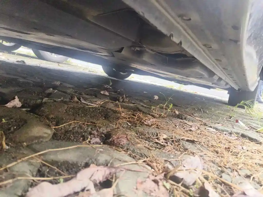 Фото 8 - Nissan Sylphy