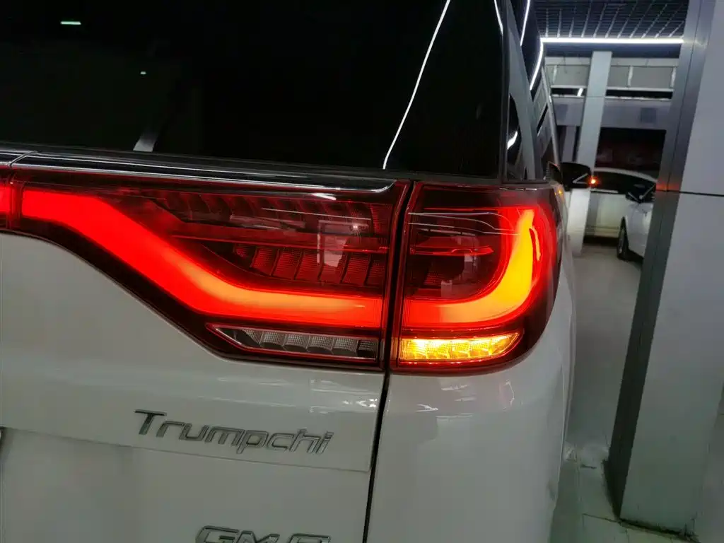 GAC Trumpchi Trumpchi M8 2020 Pilot 390T Prestige Edition фото 24
