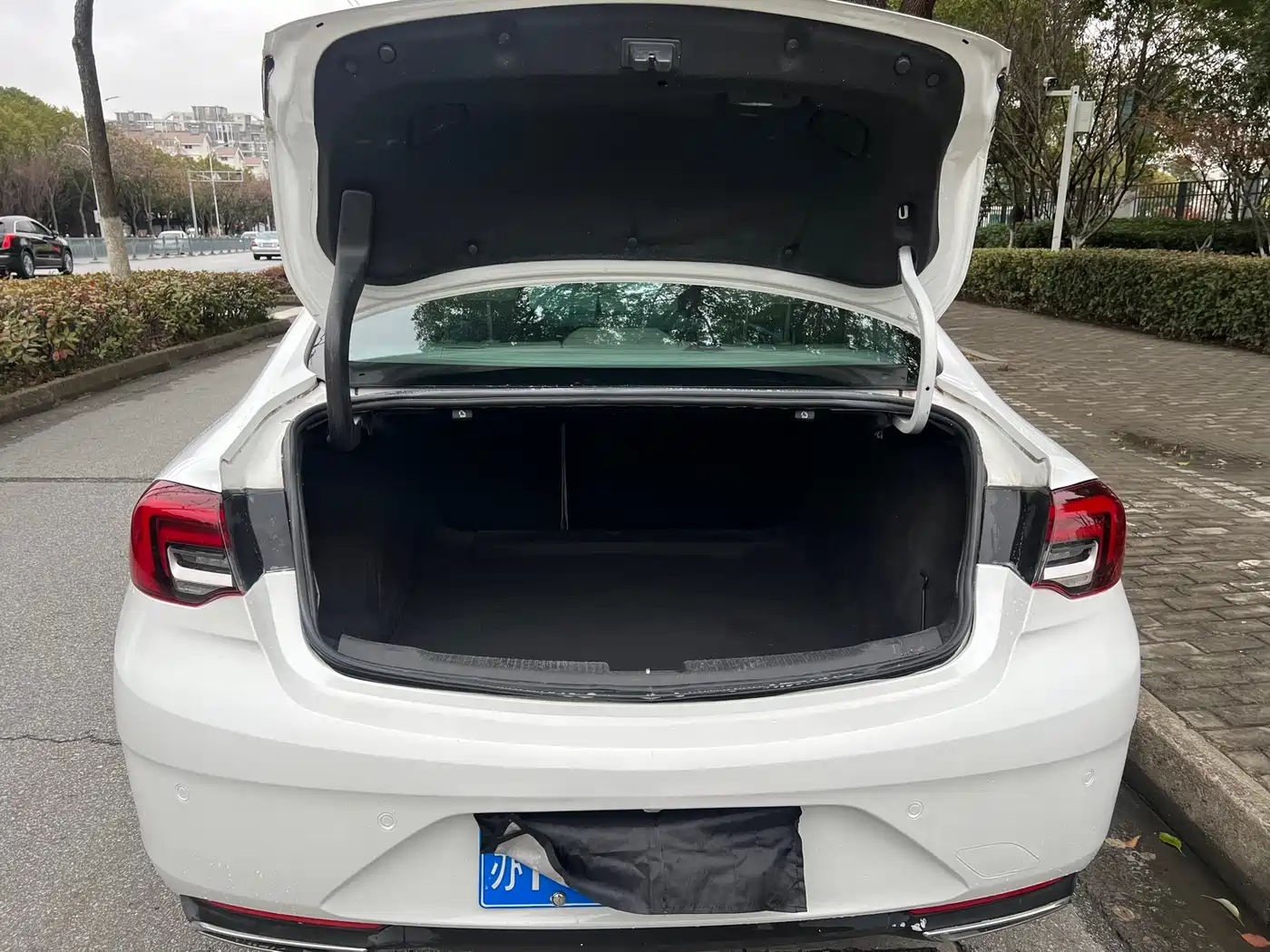 Buick Regal 2020 552T Elite фото 16