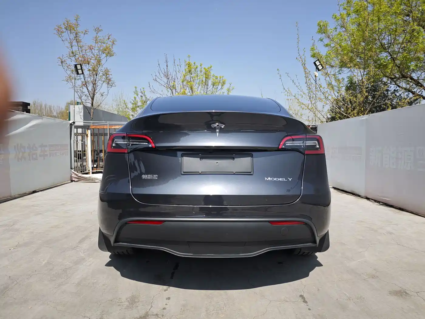 TESLA MODEL Y
