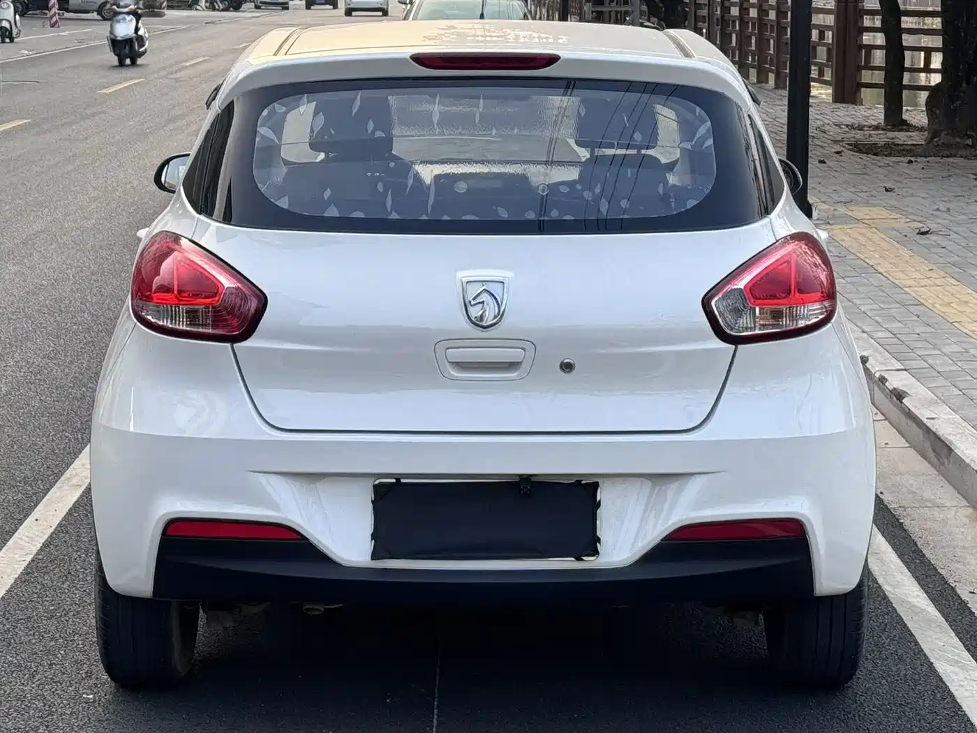 BAOJUN 310