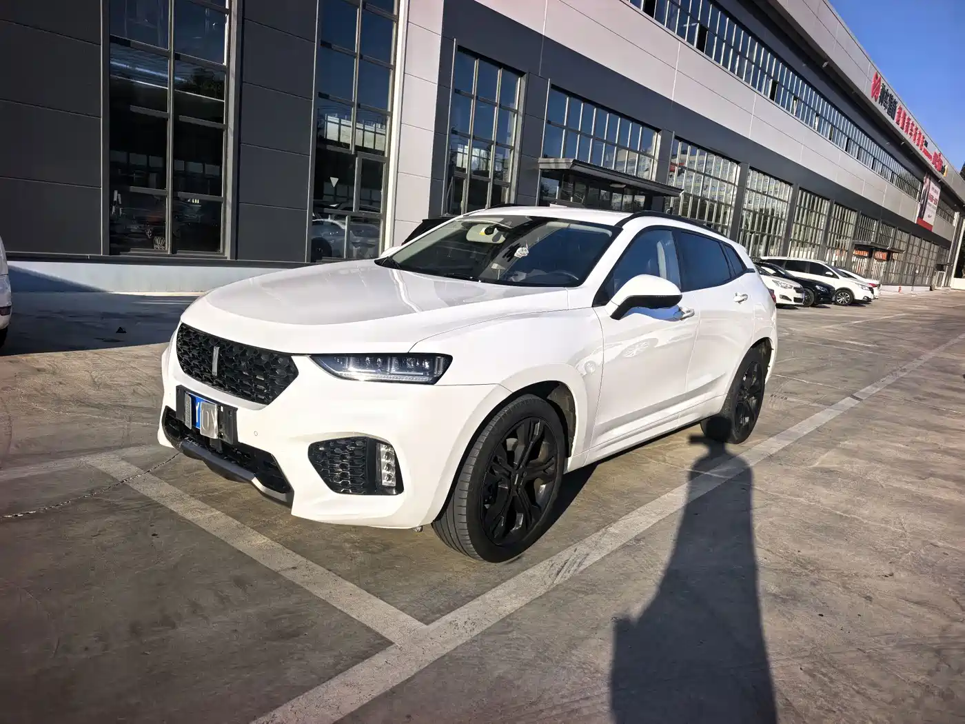 WEY VV7 2017 2017 2.0T Flagship