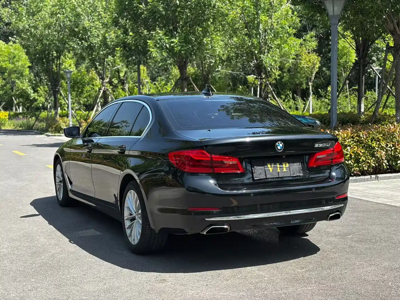 BMW 5 Series 2020 530Li Leading Luxury Package фото 9