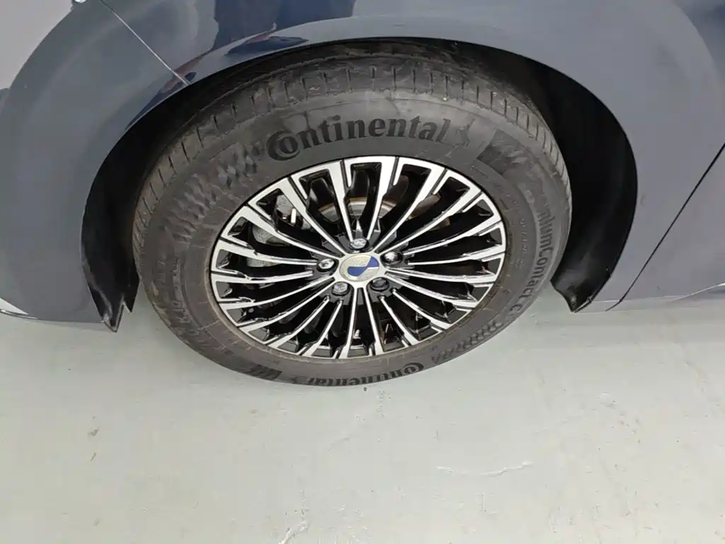 Denza D9 2023 2022 DM-i 970 All-Wheel Drive Honor Edition