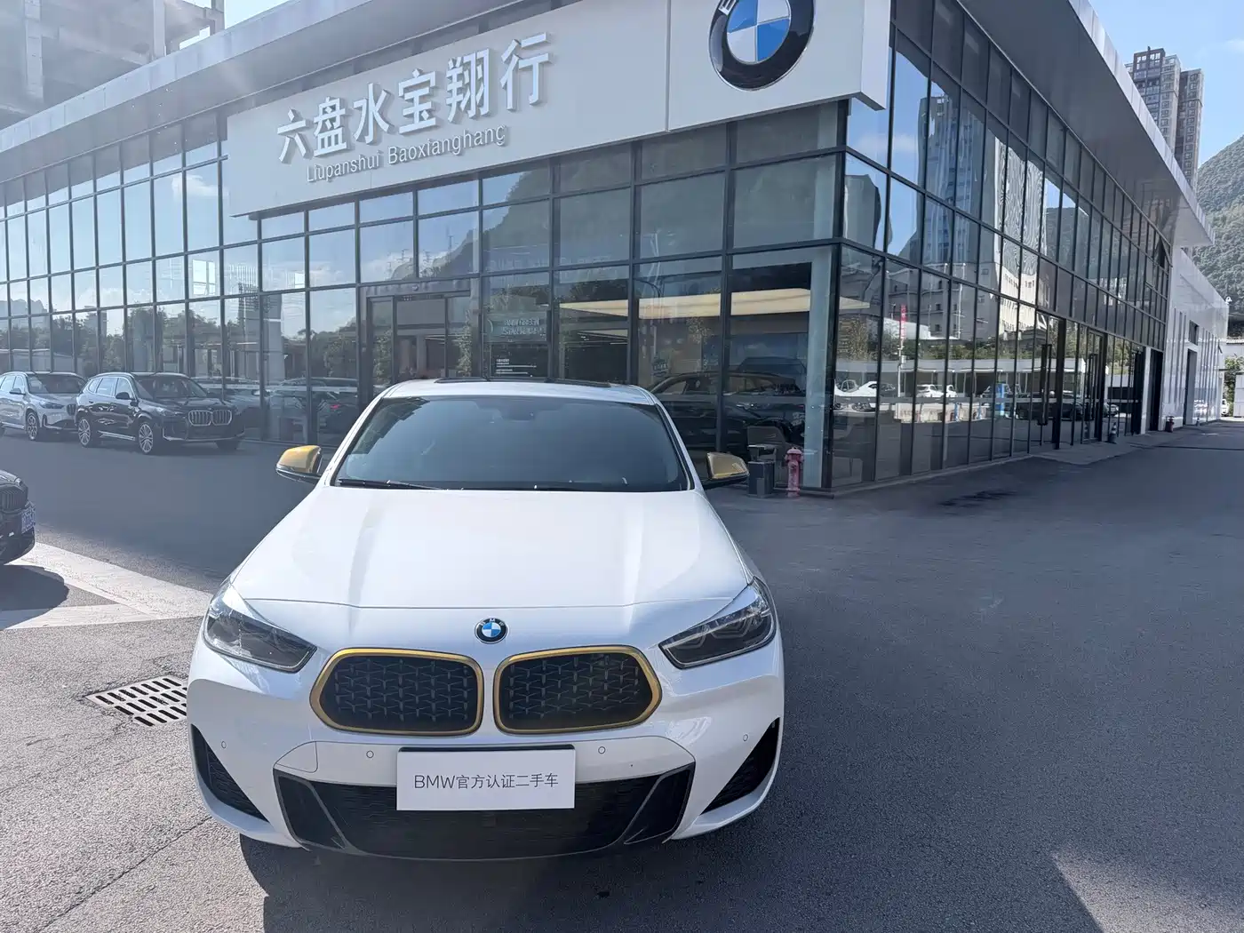 2024 BMW X2