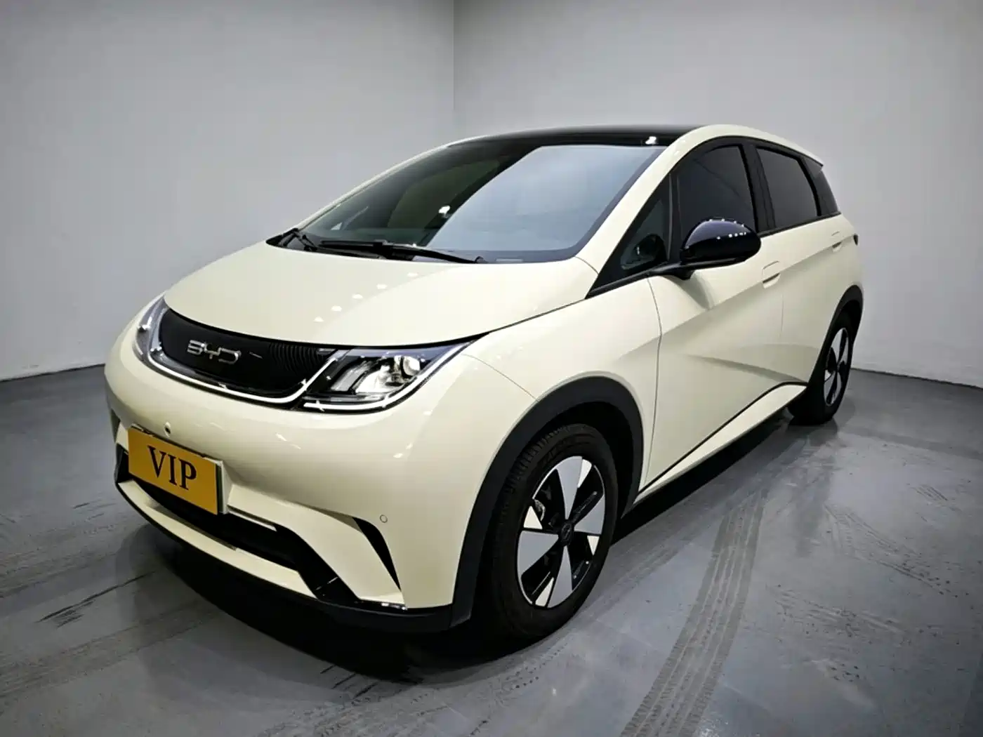 BYD Dolphin 2024