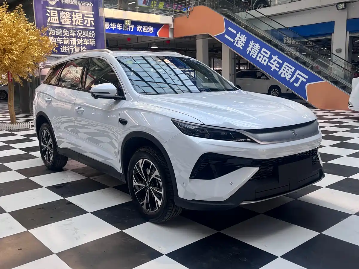 BYD SONGJIANG NEW ENERGY