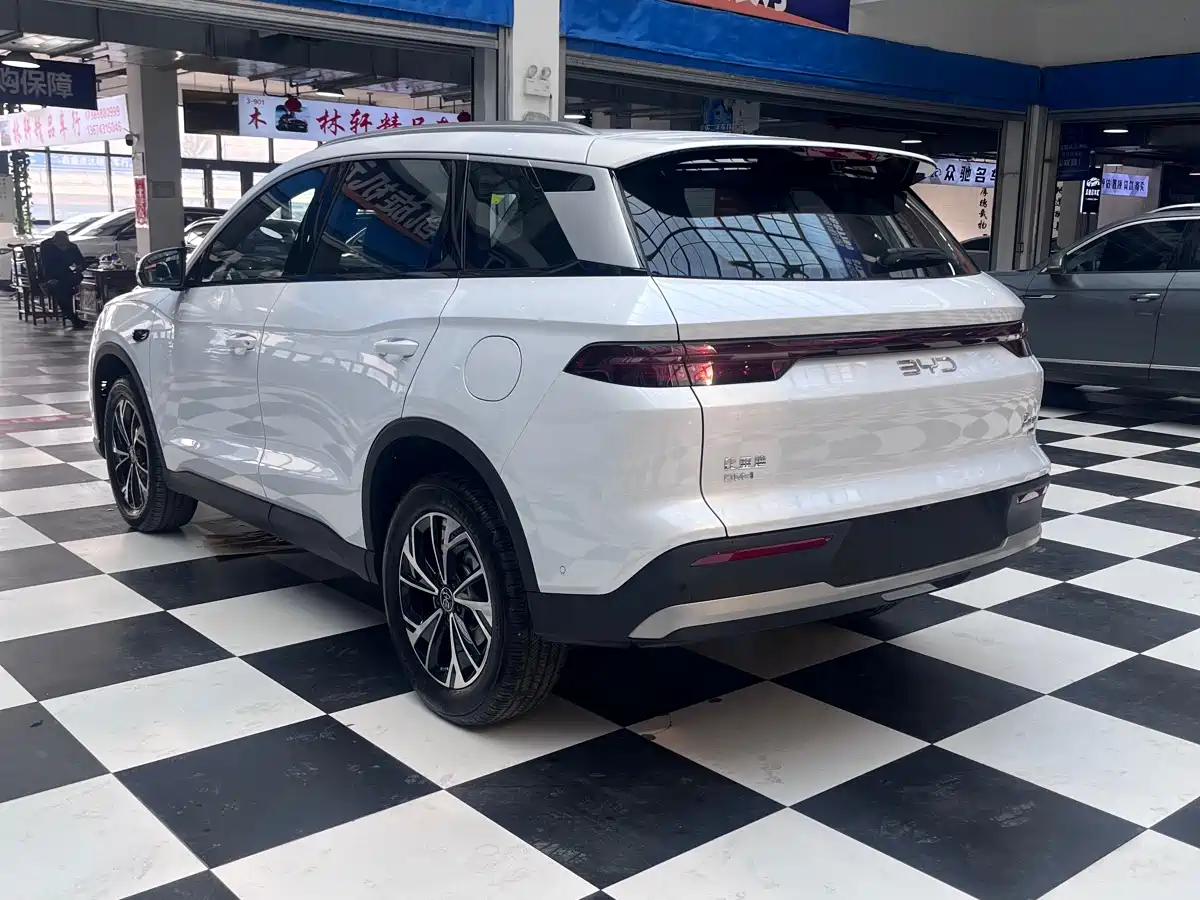 BYD SONGJIANG NEW ENERGY