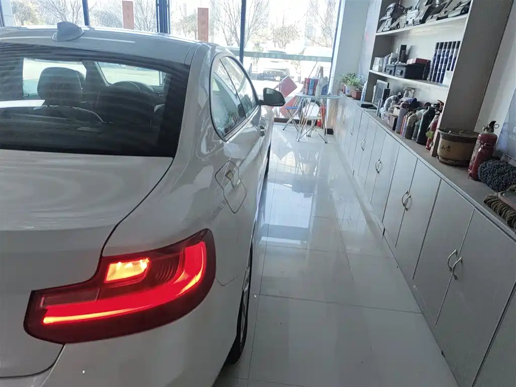 BMW 2 Series (Import) 2015 218i фото 8