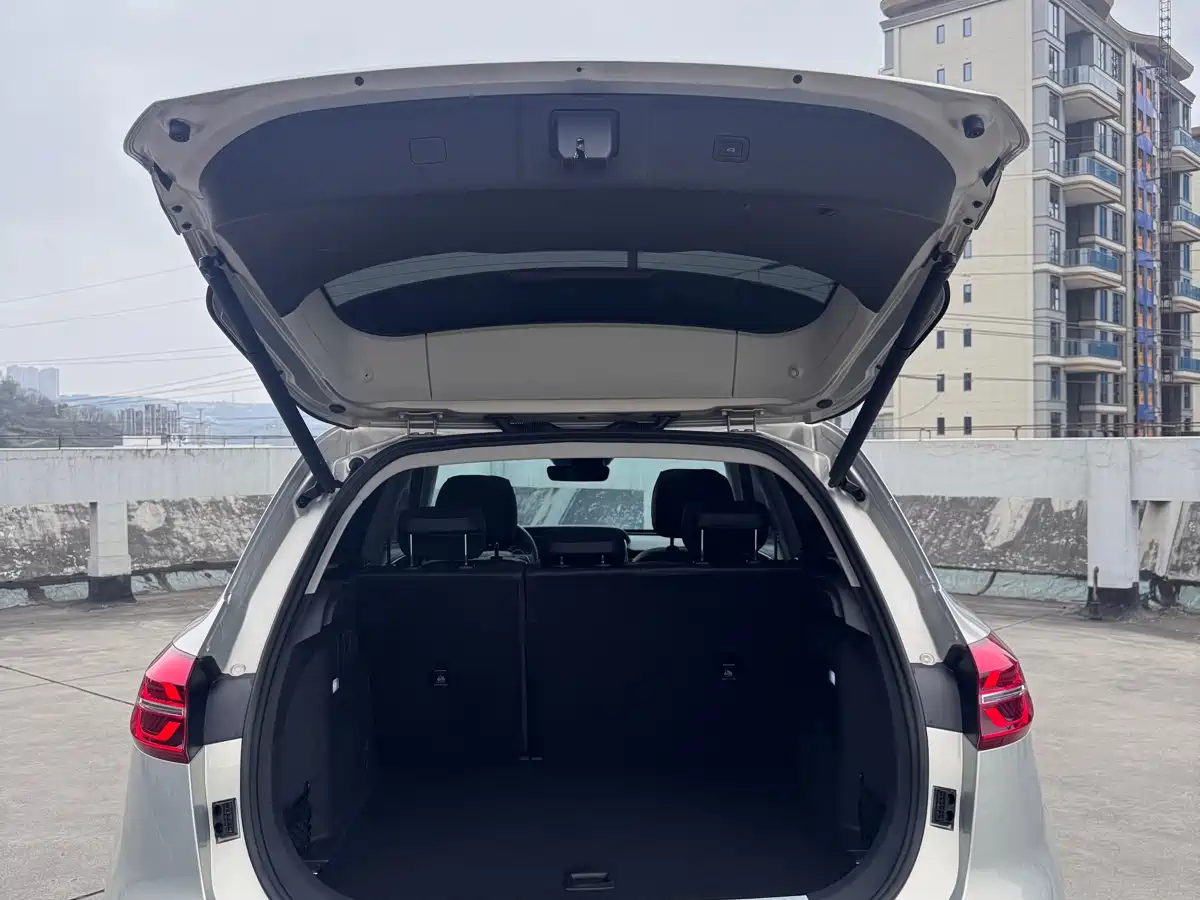 Hongqi HS5 2019 2.0T Smart Connect Enjoy 4WD Edition фото 7