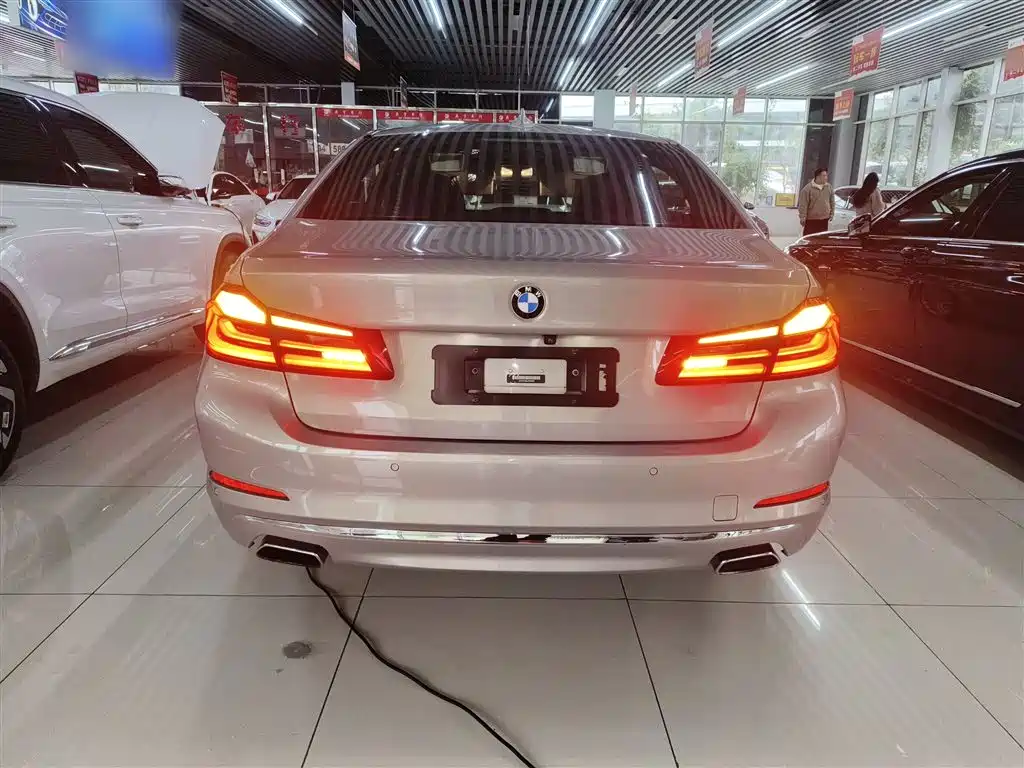 BMW 5 Series 2018 530Li Leading Luxury Package фото 6