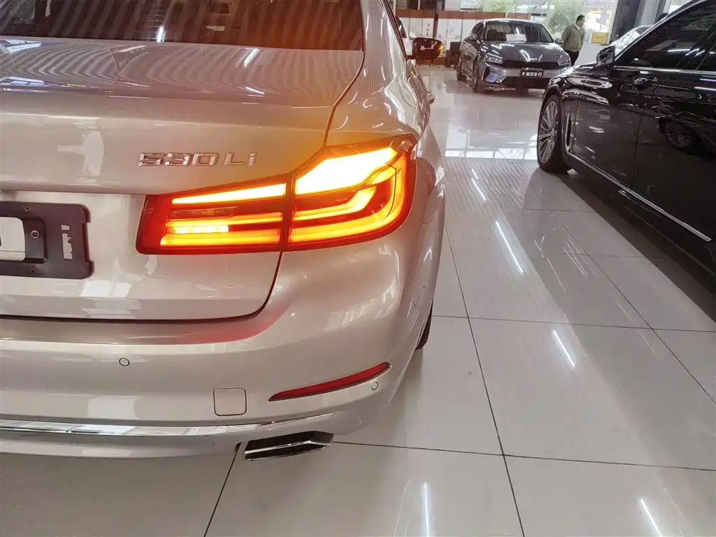BMW 5 Series 2018 530Li Leading Luxury Package фото 8