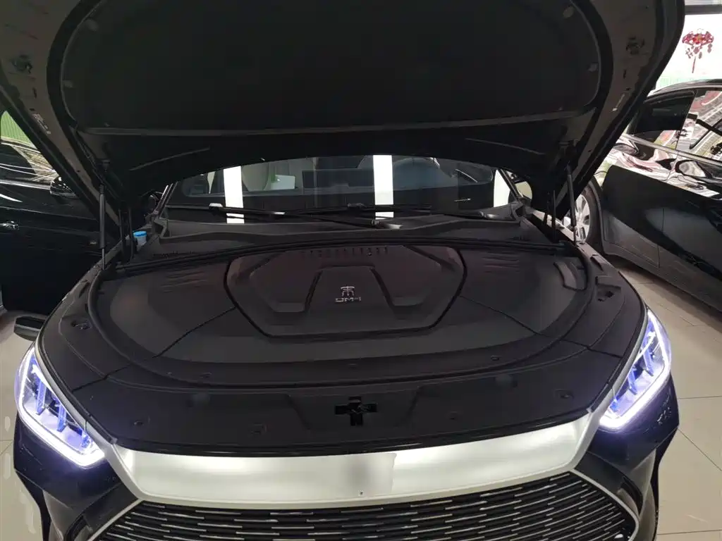 BYD Song PLUS PHEV 2021 DM-i 110KM Flagship фото 19