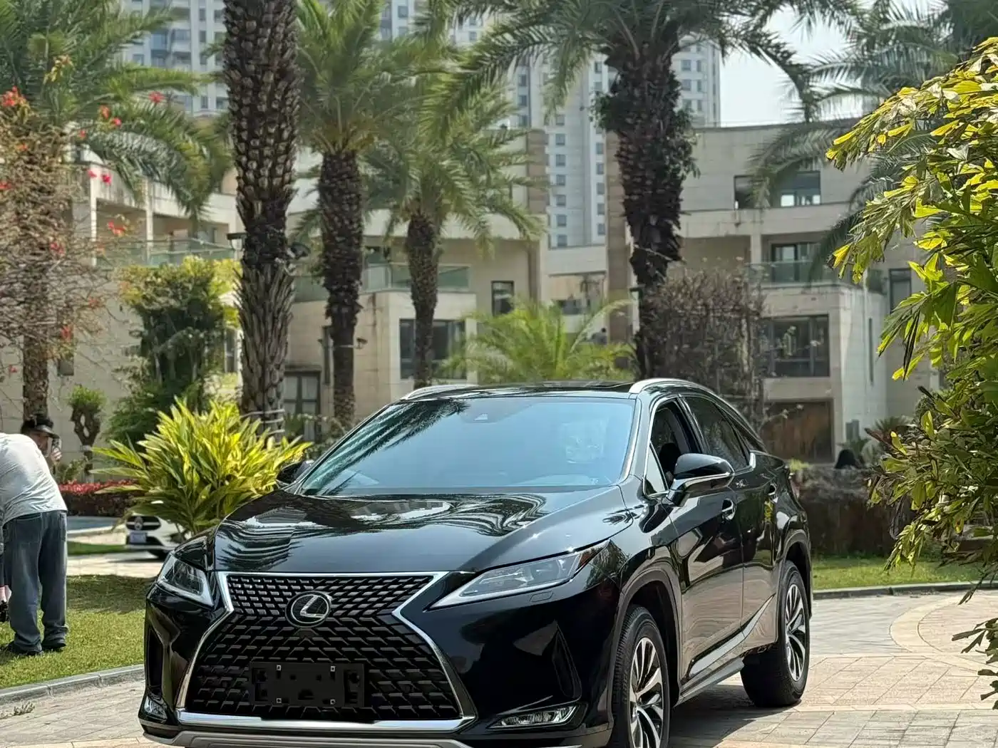 LEXUS RX