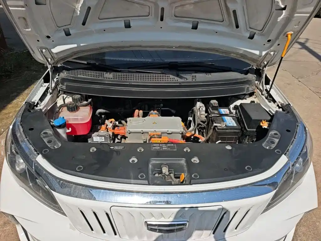 Geely Geometry EX3 Kung Fu Bull 2022 2021 Strong Bull