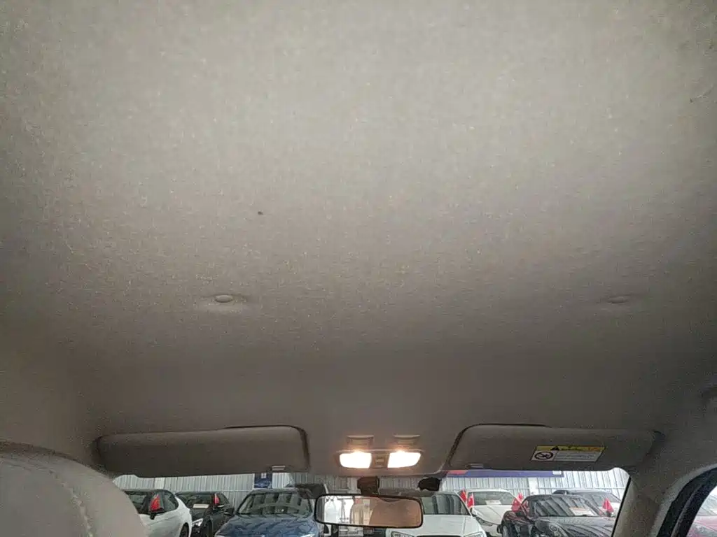 Ora White Cat 2021 2020 360km Luxury Model