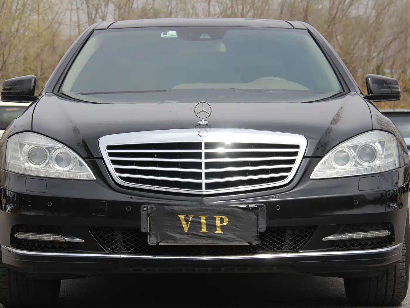 Mercedes-Benz S-Class 2010 S 300 L Premium