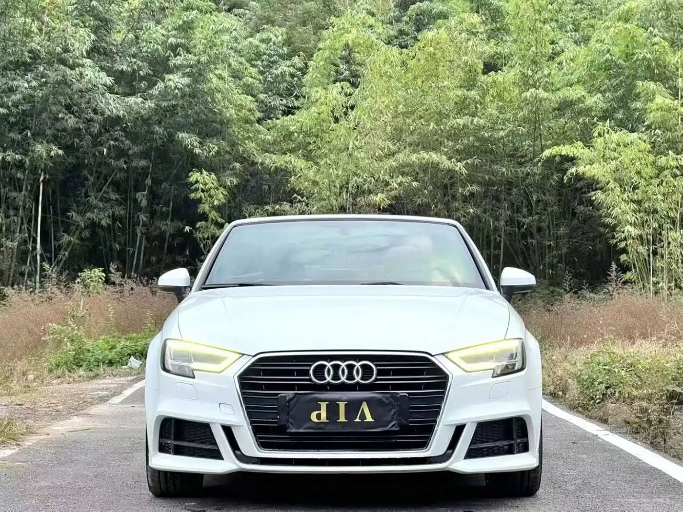 Audi A3 (Import) 2017 Cabriolet 40 TFSI фото 2