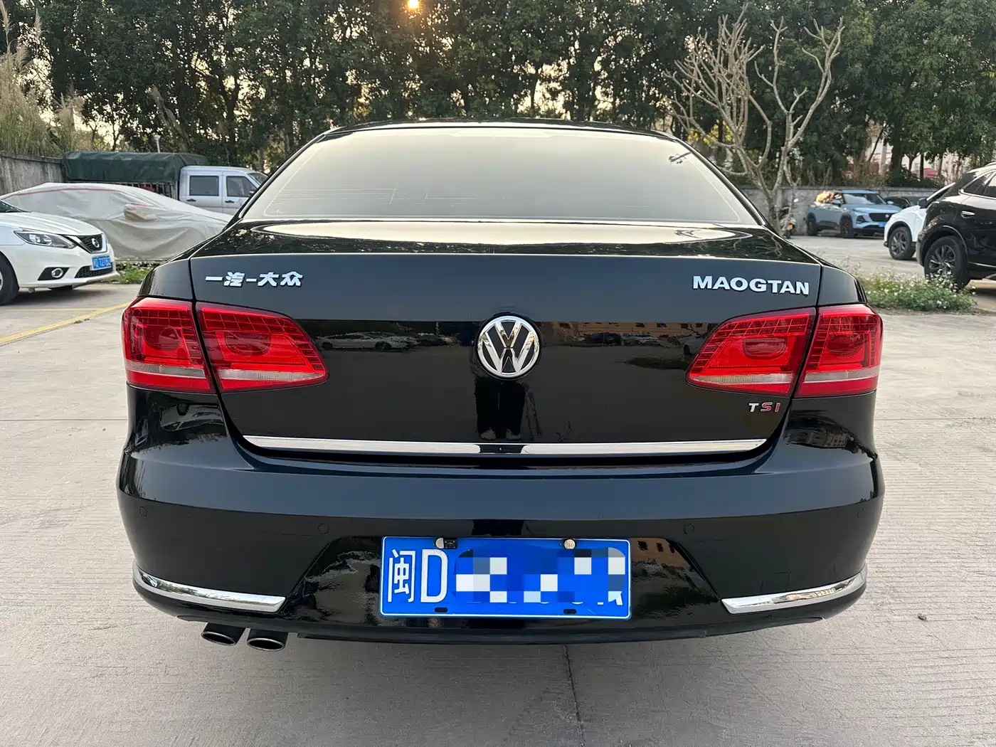 Volkswagen Magotan 2015 1.8TSI Leading фото 6