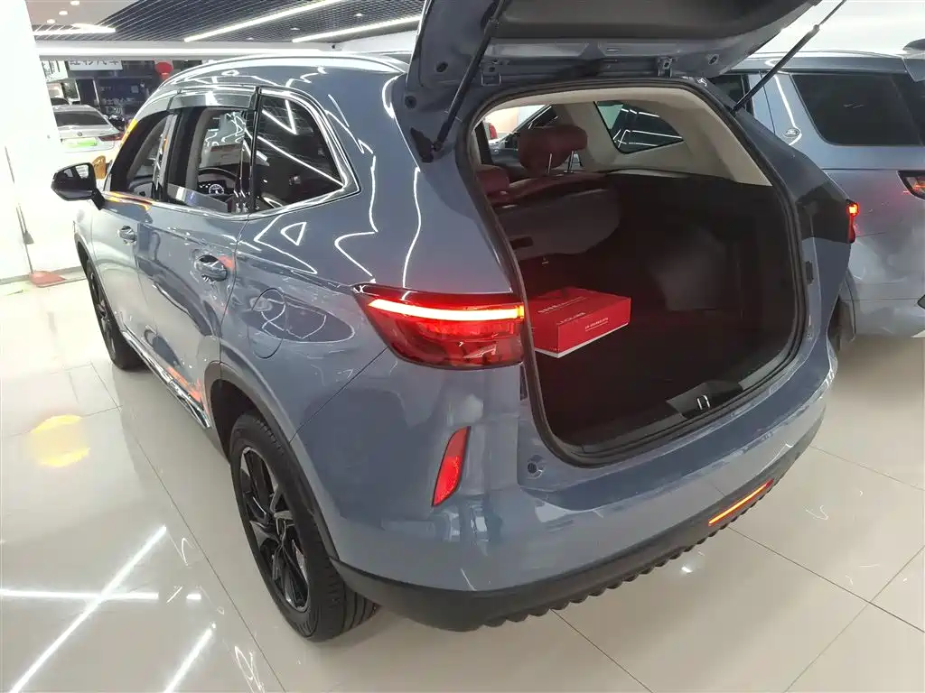 Haval H6 2021 3rd Generation 2.0T Auto 2WD Max фото 5