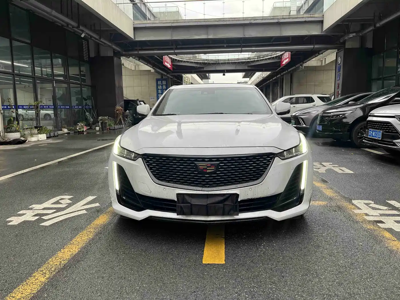 Фото 2 - Cadillac CT5