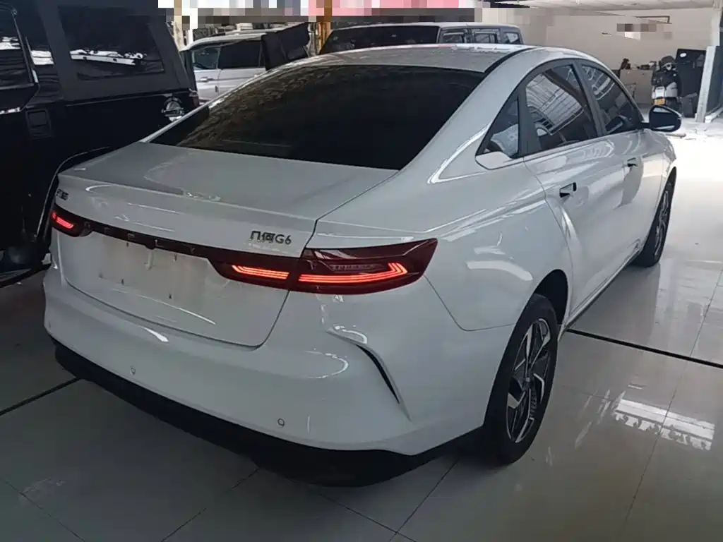 Geely Geometry G6 2024 2024 500KM Premium