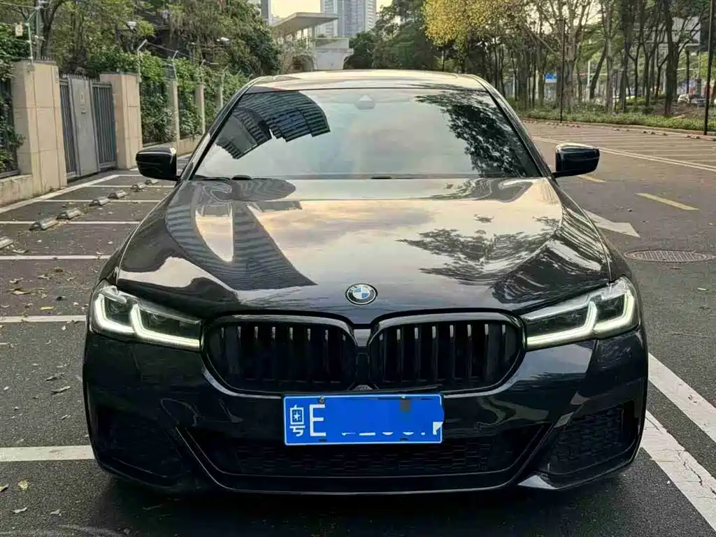 BMW 5 SERIES