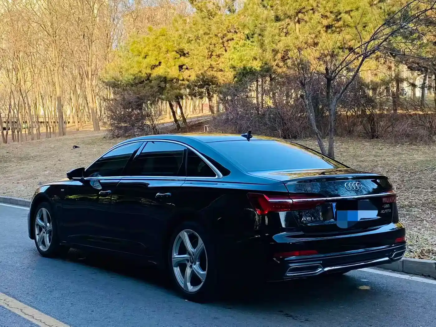 Audi A6L 2019 40 TFSI Luxury Dynamic фото 4