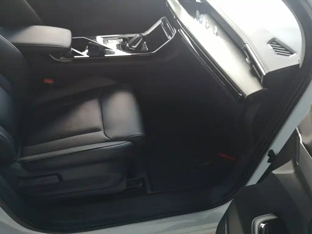 Wuling Motors Wuling Xingchen 2023 2022 2.0L DHT Electric Power Edition
