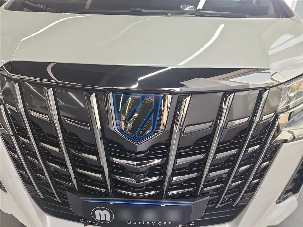 Toyota Alphard 2023 Dual Hybrid 2.5L Ultimate Gold Edition фото 10