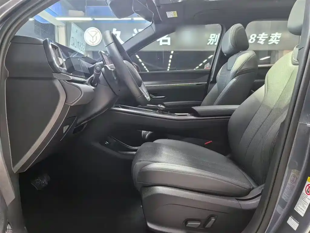 BYD Song Pro New Energy 2025 2nd Generation Smart Drive Edition DM-i 115KM Surpassing Type фото 15