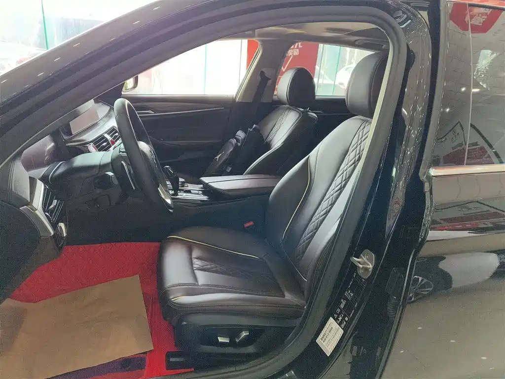 BMW 5 Series 2019 530Li xDrive Luxury Package фото 11