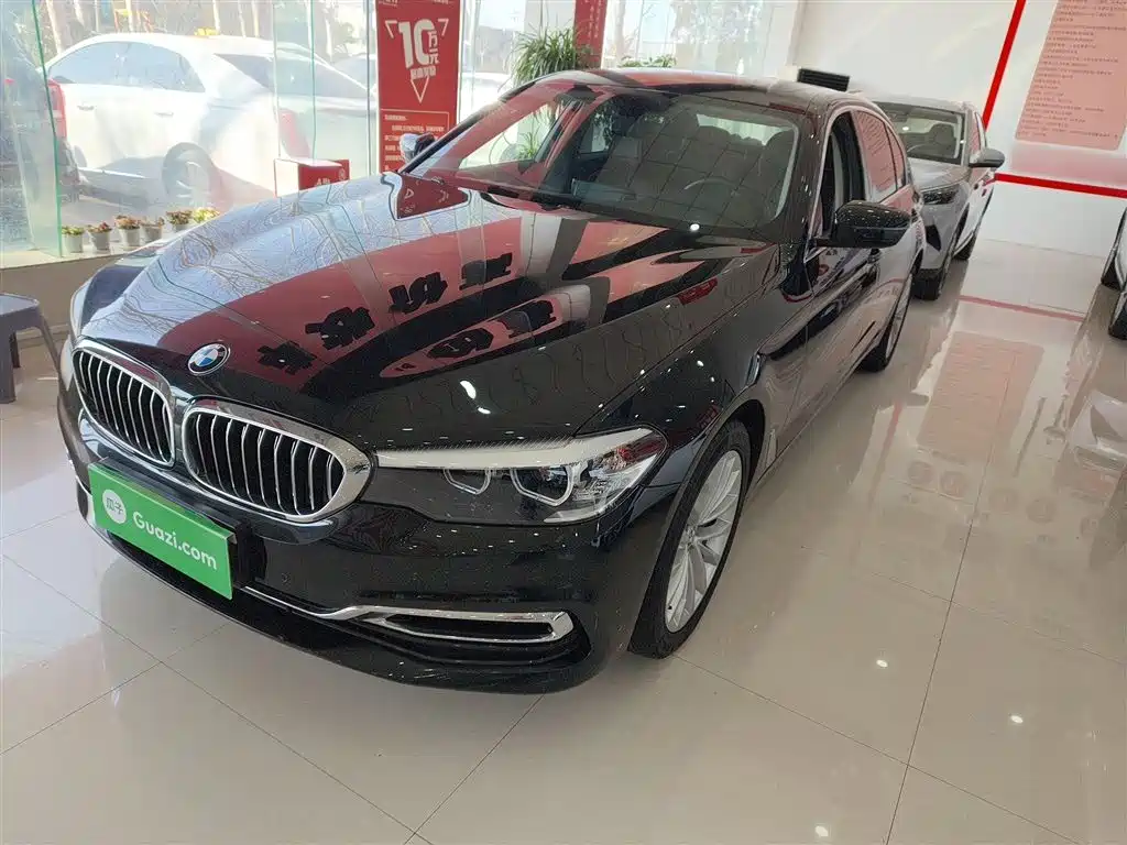 BMW 5 Series 2019 530Li xDrive Luxury Package