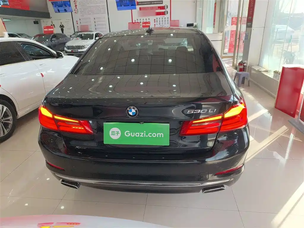 BMW 5 Series 2019 530Li xDrive Luxury Package фото 4
