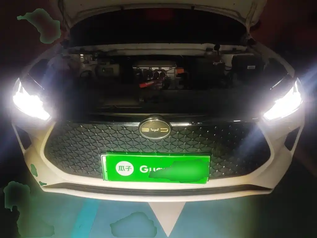 BYD e2 2021 Luxury Edition фото 16