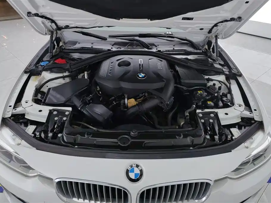 BMW 3 Series 2018 320Li Fashion Style фото 10