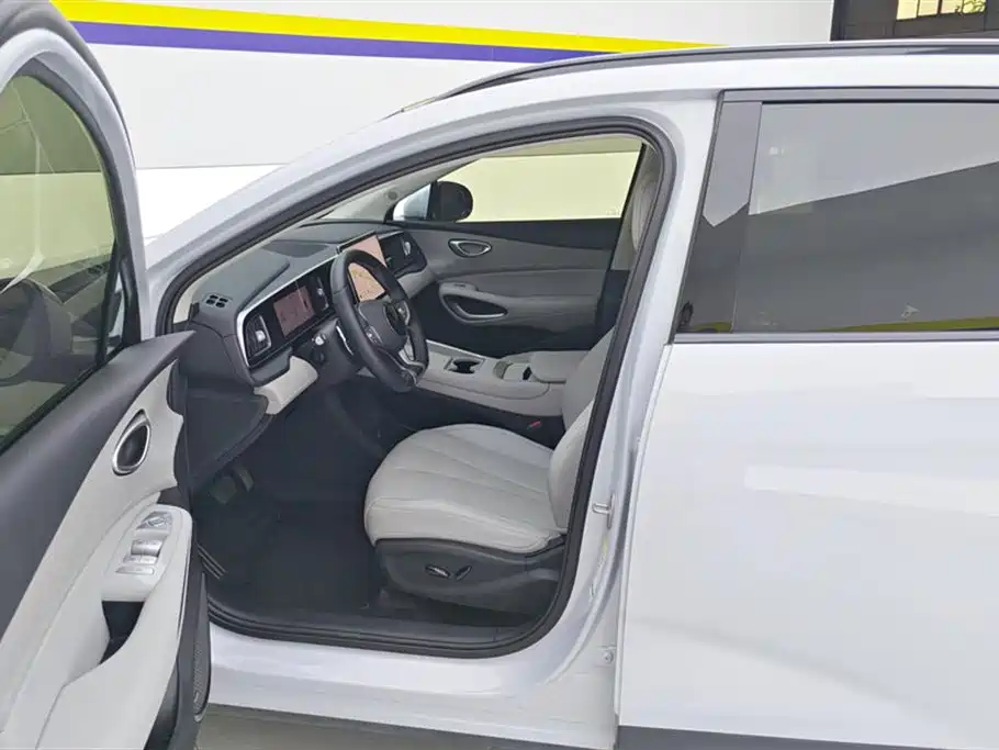 BYD Hai Shi 05 EV 2025 520KM Smart Navigation Edition фото 9