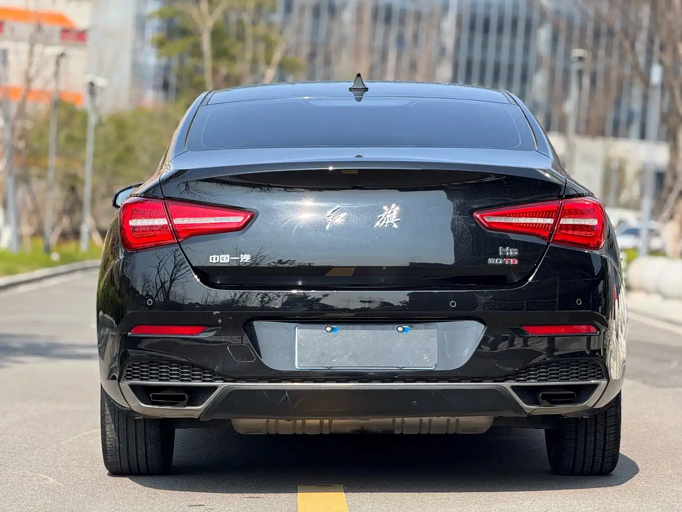 Hongqi H5 2020 1.5T DCT Qi Rhythm Edition фото 10