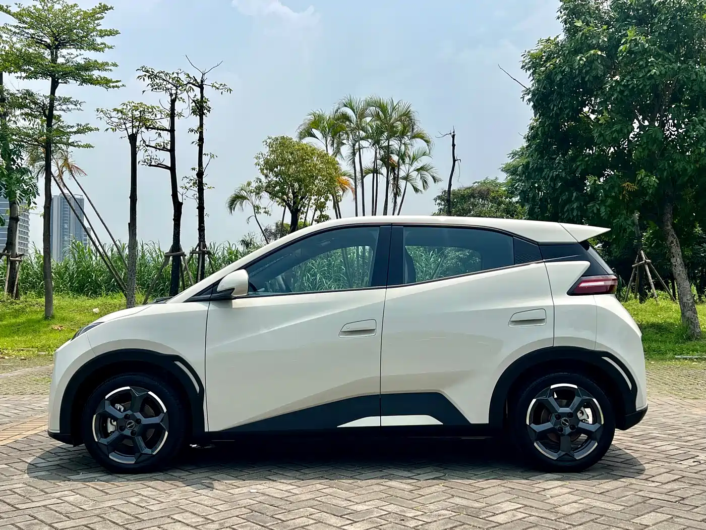 BYD Seagull 2024 Glory Edition 305km Freedom Edition фото 8
