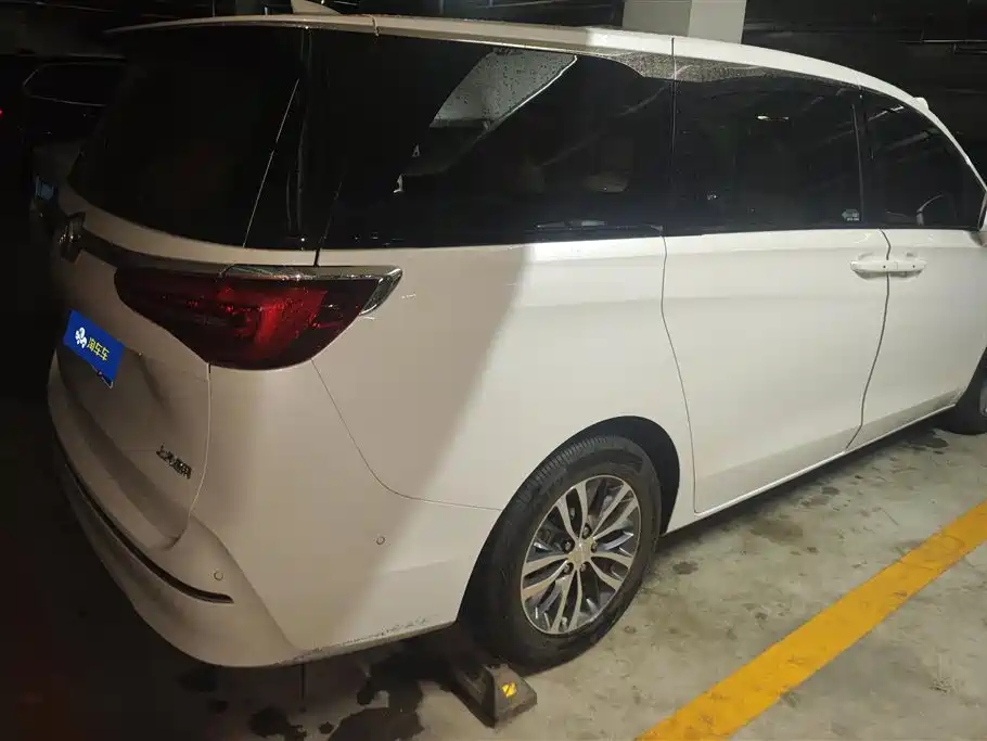 Buick GL8 2021 ES Landlord 653T Premium фото 3