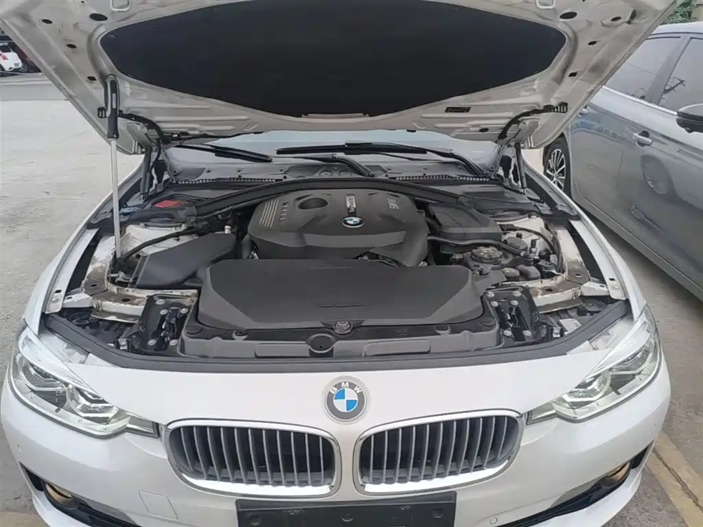 BMW 3 Series 2018 320Li Fashion Style фото 20