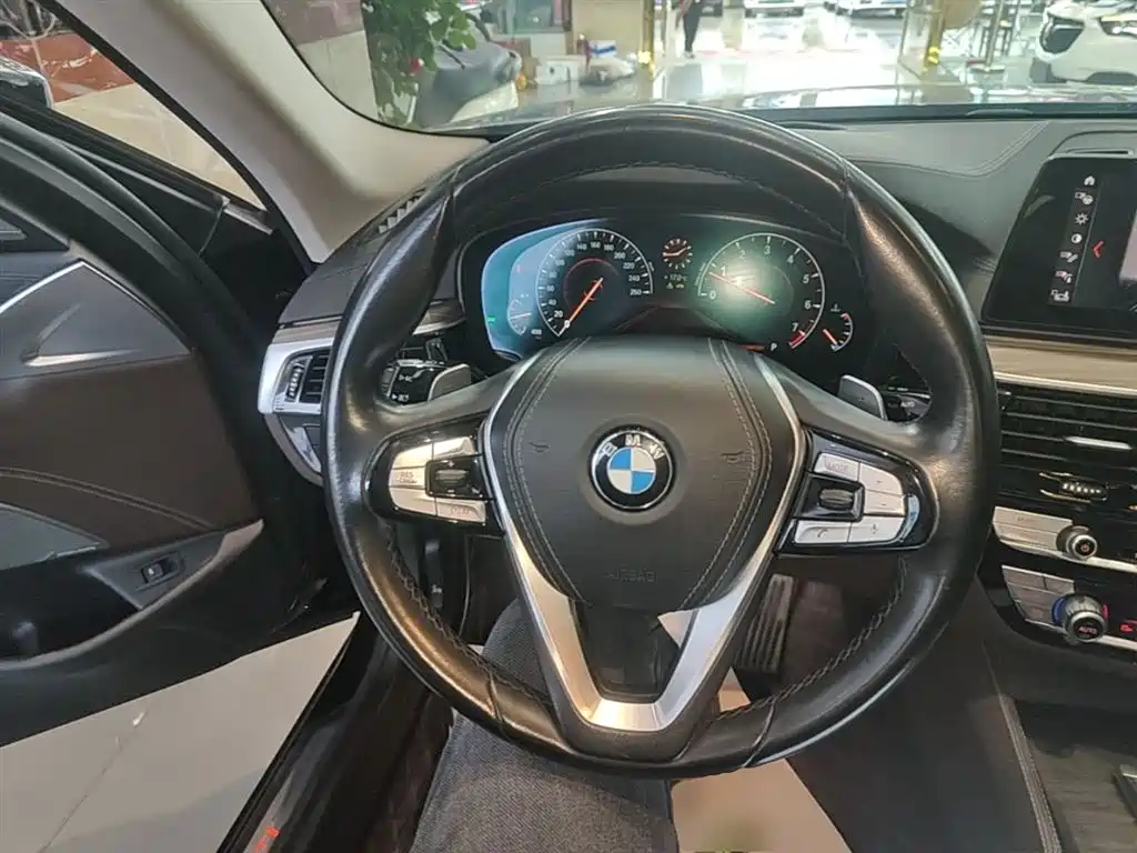 BMW 5 Series 2019 Facelift 530Li Premium Luxury Package фото 11