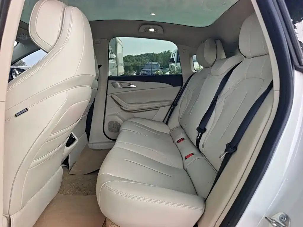 Dongfeng Fengxing Stellar S7 2024 2024 555 Joy Edition
