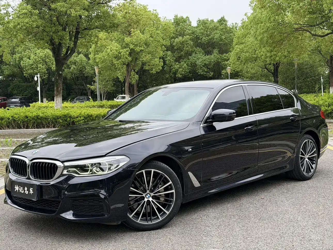 BMW 5 Series 2020 530Li Exclusive M Sport Package
