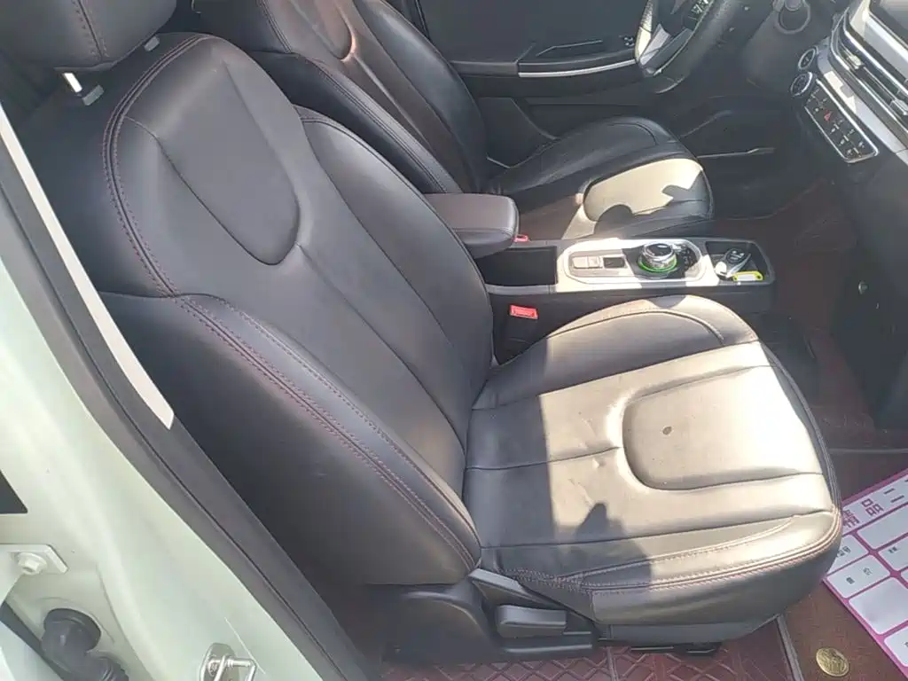 Dayun Yuehu 2022 2022 30.66kWh 2WD VIP Edition
