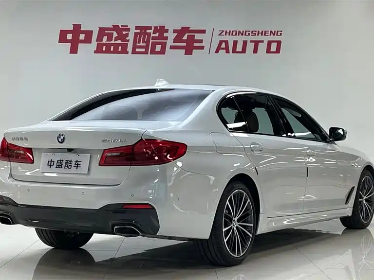 BMW 5 Series 2019 Facelift 530Li Leading M Sport Package фото 8