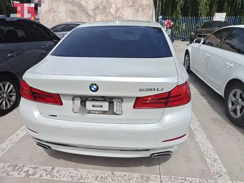 BMW 5 Series 2020 530Li xDrive Luxury Package фото 6